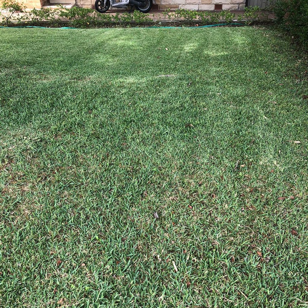 Lawn Mowing