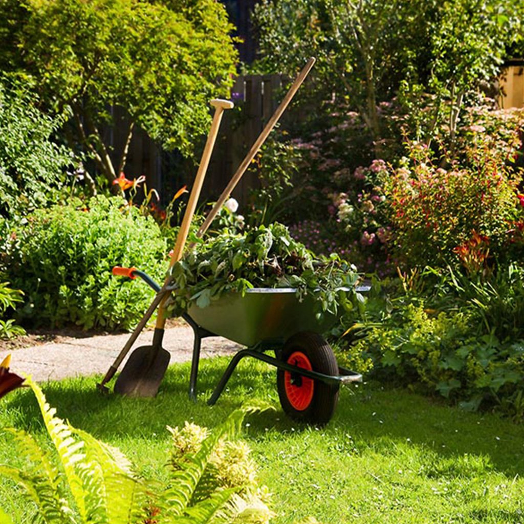 Garden Waste Removals