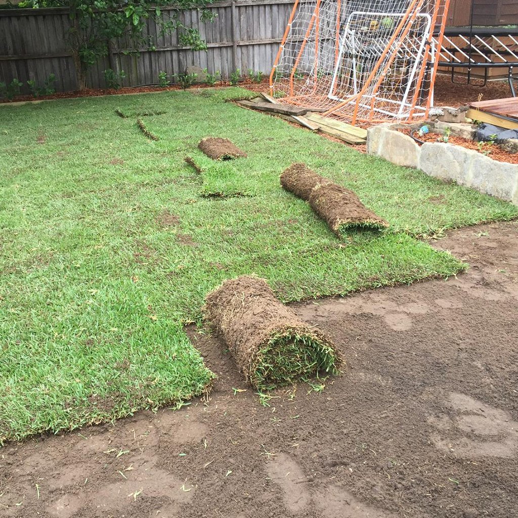 Turf Installation & Repair